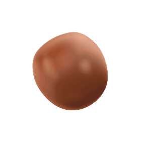 cocoa-bliss